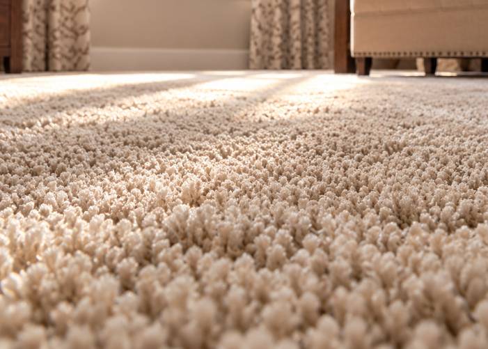 Close-up of soft beige carpet texture in sunlight